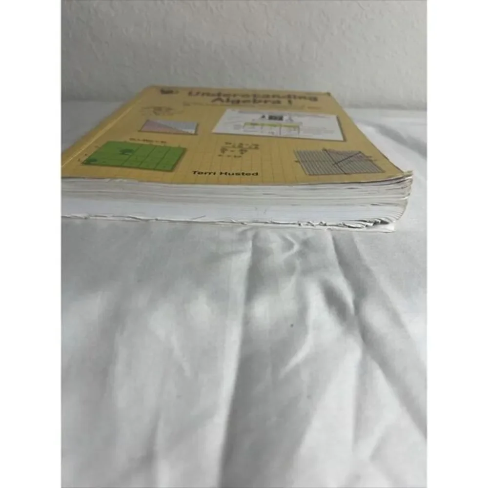 Critical Thinking Co. Understanding Algebra 1‎ Mathematical Reasoning Workbook